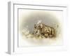 Rhino Baby-Peggy Harris-Framed Giclee Print