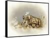 Rhino Baby-Peggy Harris-Framed Stretched Canvas