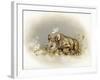 Rhino Baby-Peggy Harris-Framed Giclee Print