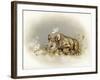 Rhino Baby-Peggy Harris-Framed Giclee Print