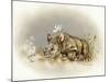 Rhino Baby-Peggy Harris-Mounted Giclee Print