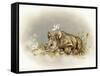 Rhino Baby-Peggy Harris-Framed Stretched Canvas