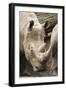 Rhino BRZ 17 3-Robert Michaud-Framed Giclee Print