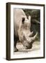 Rhino BRZ 17-Robert Michaud-Framed Giclee Print
