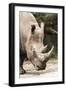 Rhino BRZ 17-Robert Michaud-Framed Giclee Print