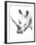 Rhino Gray Crop-Aimee Del Valle-Framed Art Print