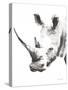 Rhino Gray Crop-Aimee Del Valle-Stretched Canvas