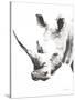 Rhino Gray Crop-Aimee Del Valle-Stretched Canvas