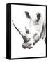 Rhino Gray Crop-Aimee Del Valle-Framed Stretched Canvas