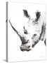 Rhino Gray Crop-Aimee Del Valle-Stretched Canvas