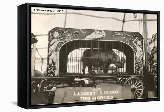 Rhino in Circus Wagon, 1915-null-Framed Stretched Canvas