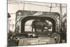 Rhino in Circus Wagon, 1915-null-Mounted Art Print