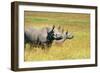 Rhino in Kenya-Buddy Mays-Framed Photographic Print