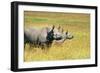 Rhino in Kenya-Buddy Mays-Framed Photographic Print