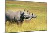 Rhino in Kenya-Buddy Mays-Mounted Photographic Print