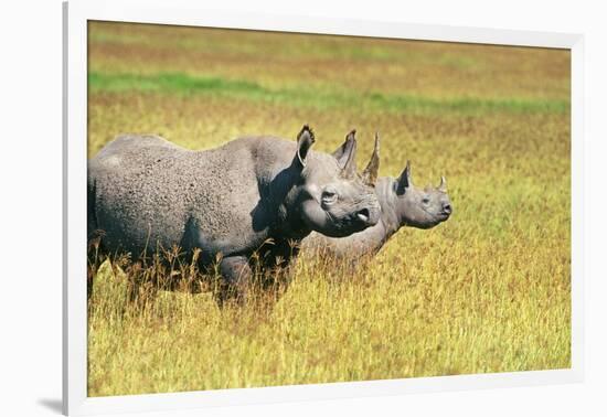 Rhino in Kenya-Buddy Mays-Framed Photographic Print