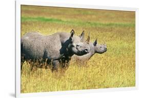 Rhino in Kenya-Buddy Mays-Framed Photographic Print