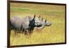 Rhino in Kenya-Buddy Mays-Framed Photographic Print