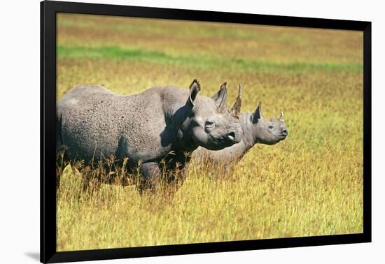 Rhino in Kenya-Buddy Mays-Framed Photographic Print