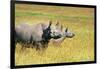 Rhino in Kenya-Buddy Mays-Framed Photographic Print