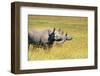 Rhino in Kenya-Buddy Mays-Framed Photographic Print