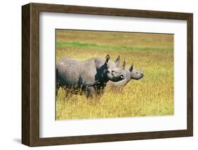 Rhino in Kenya-Buddy Mays-Framed Photographic Print