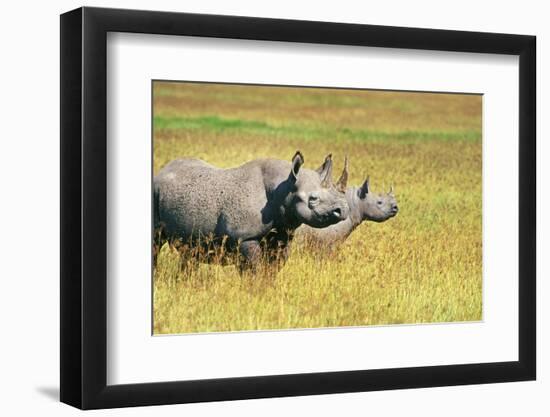 Rhino in Kenya-Buddy Mays-Framed Photographic Print