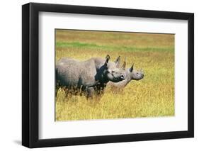 Rhino in Kenya-Buddy Mays-Framed Photographic Print