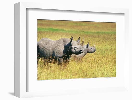 Rhino in Kenya-Buddy Mays-Framed Photographic Print