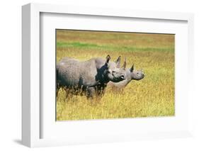 Rhino in Kenya-Buddy Mays-Framed Photographic Print