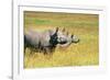 Rhino in Kenya-Buddy Mays-Framed Photographic Print