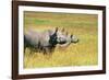 Rhino in Kenya-Buddy Mays-Framed Photographic Print