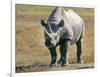 Rhino in Kenya-Buddy Mays-Framed Photographic Print