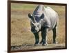 Rhino in Kenya-Buddy Mays-Framed Photographic Print