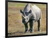 Rhino in Kenya-Buddy Mays-Framed Photographic Print