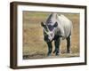 Rhino in Kenya-Buddy Mays-Framed Photographic Print