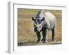 Rhino in Kenya-Buddy Mays-Framed Photographic Print