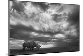 Rhino Land-Mario Moreno-Mounted Photographic Print