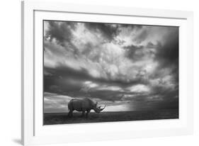 Rhino Land-Mario Moreno-Framed Photographic Print