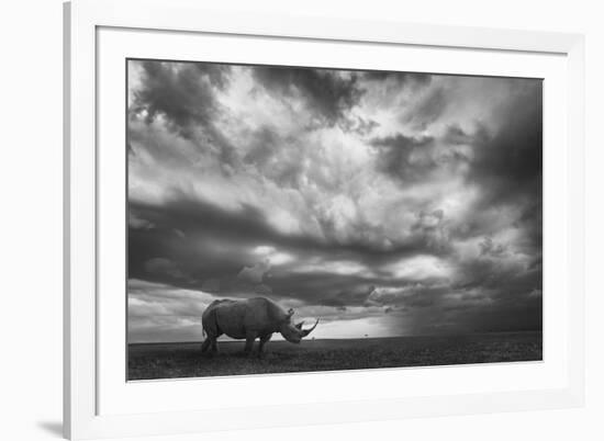 Rhino Land-Mario Moreno-Framed Photographic Print