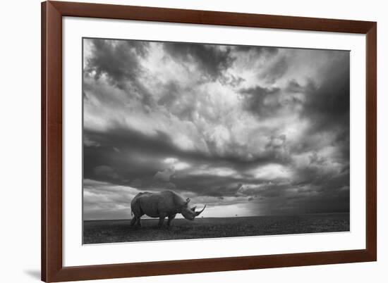 Rhino Land-Mario Moreno-Framed Photographic Print