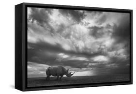 Rhino Land-Mario Moreno-Framed Stretched Canvas