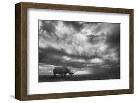 Rhino Land-Mario Moreno-Framed Photographic Print