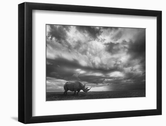 Rhino Land-Mario Moreno-Framed Photographic Print