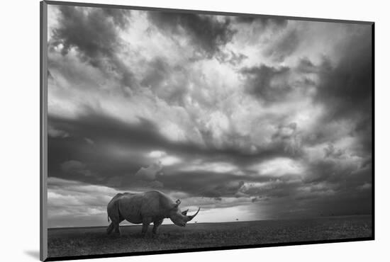 Rhino Land-Mario Moreno-Mounted Photographic Print