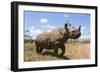 Rhino, Lewa Wildlife Conservancy, Laikipia, Kenya, East Africa, Africa-Ann and Steve Toon-Framed Photographic Print