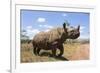 Rhino, Lewa Wildlife Conservancy, Laikipia, Kenya, East Africa, Africa-Ann and Steve Toon-Framed Photographic Print