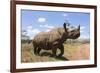 Rhino, Lewa Wildlife Conservancy, Laikipia, Kenya, East Africa, Africa-Ann and Steve Toon-Framed Photographic Print