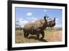 Rhino, Lewa Wildlife Conservancy, Laikipia, Kenya, East Africa, Africa-Ann and Steve Toon-Framed Photographic Print