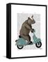 Rhino on Moped-Fab Funky-Framed Stretched Canvas